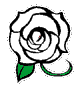 �C��������K�N��